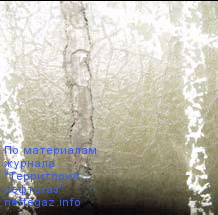 pic6.jpg pic6.jpg